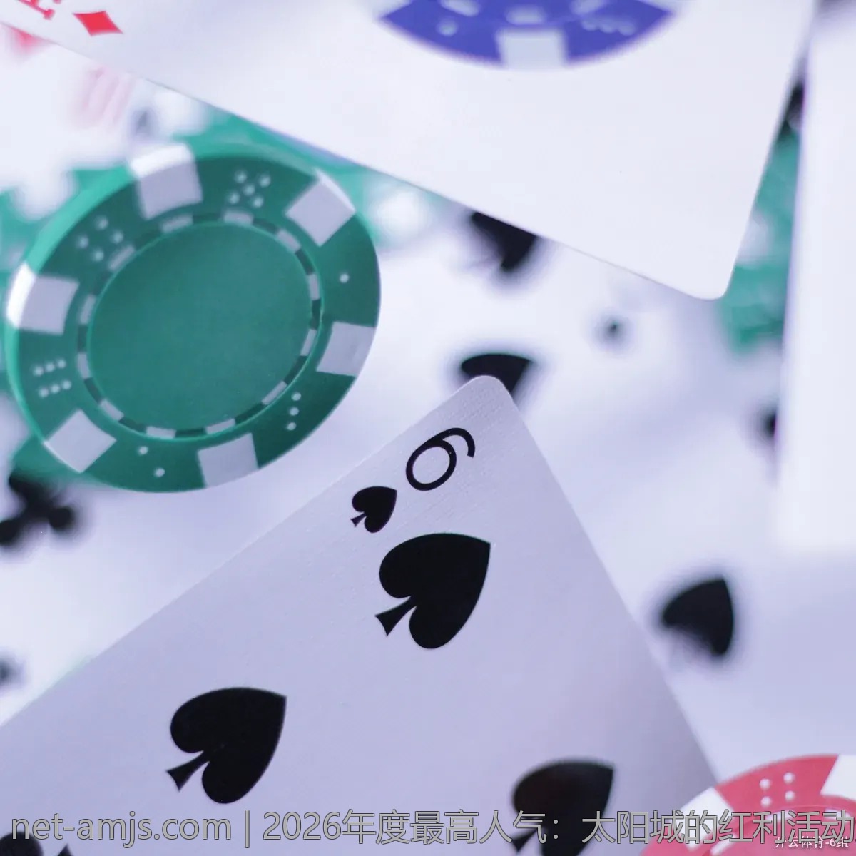 2026年度最高人气：太阳城的红利活动盘点